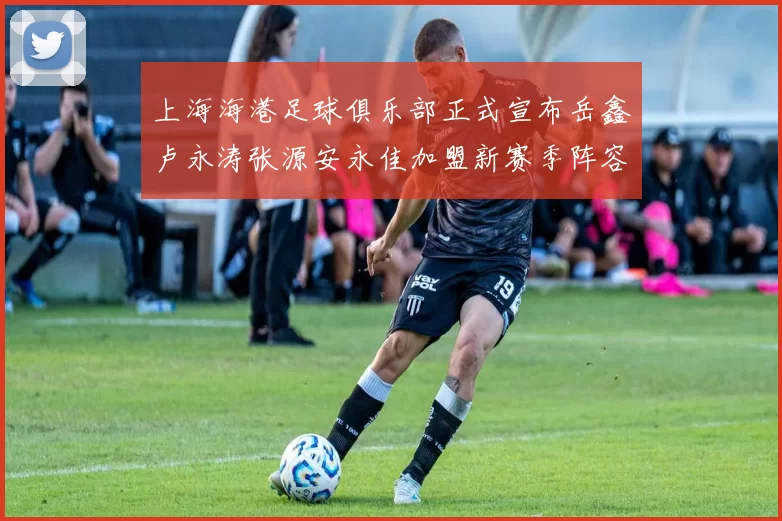 上海海港足球俱乐部正式宣布岳鑫卢永涛张源安永佳加盟新赛季阵容更新